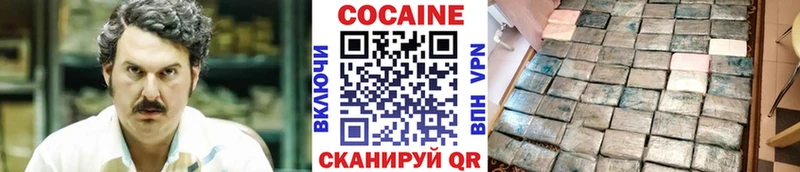 закладка  Чаплыгин  КОКАИН Fish Scale 