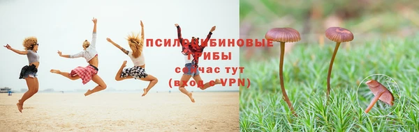 jwh Зеленодольск